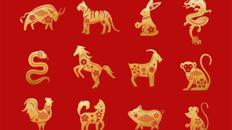 animales del horoscopo chino en collage 1