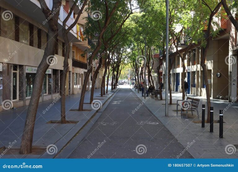 calle tranquila con arboles y cafes