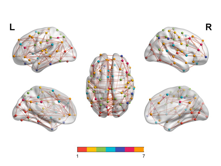 cerebro humano y circuitos electronicos entrelazados