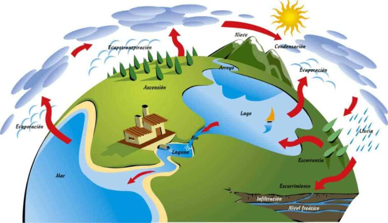 ciclo del rio nilo y su ecosistema