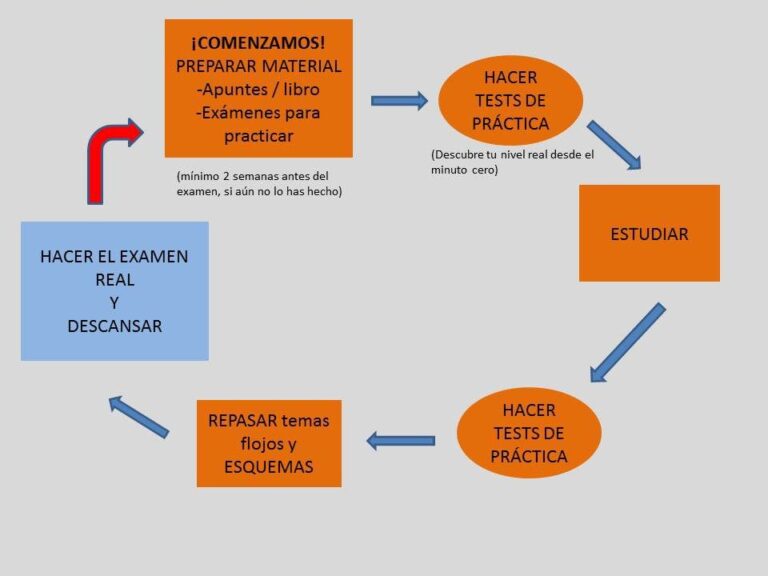 como elaborar un plan para rendir materias previas