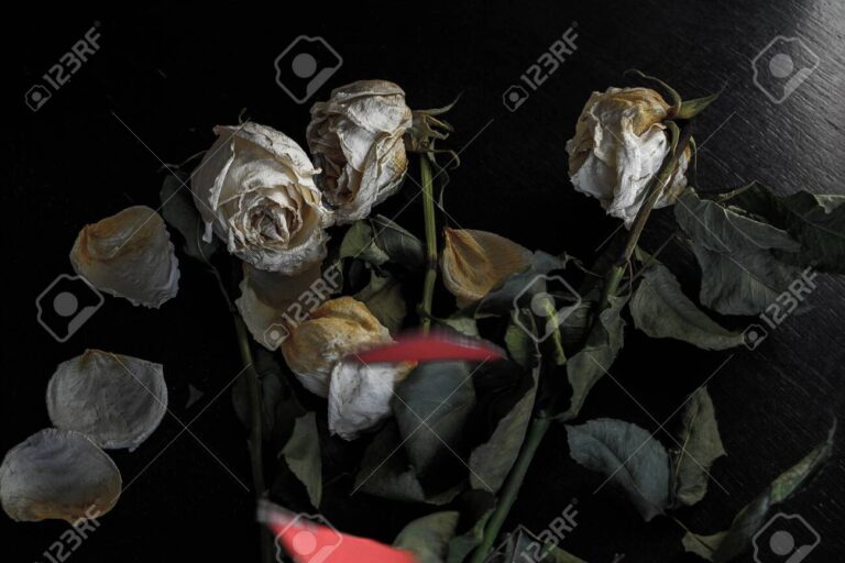 corazon roto rodeado de flores marchitas