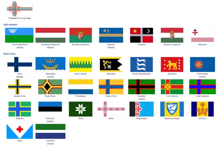 diversidad de banderas politicas en argentina