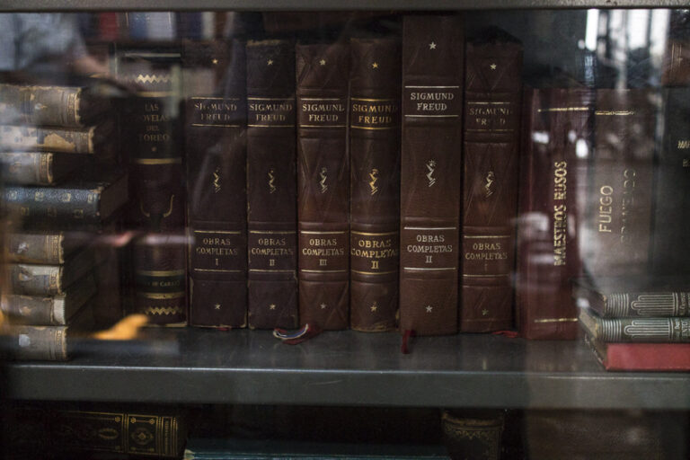 estante lleno de libros de freud