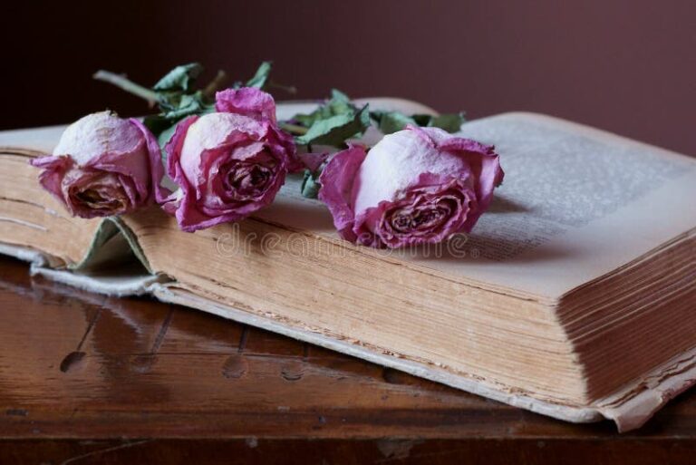 flores marchitas sobre un libro antiguo
