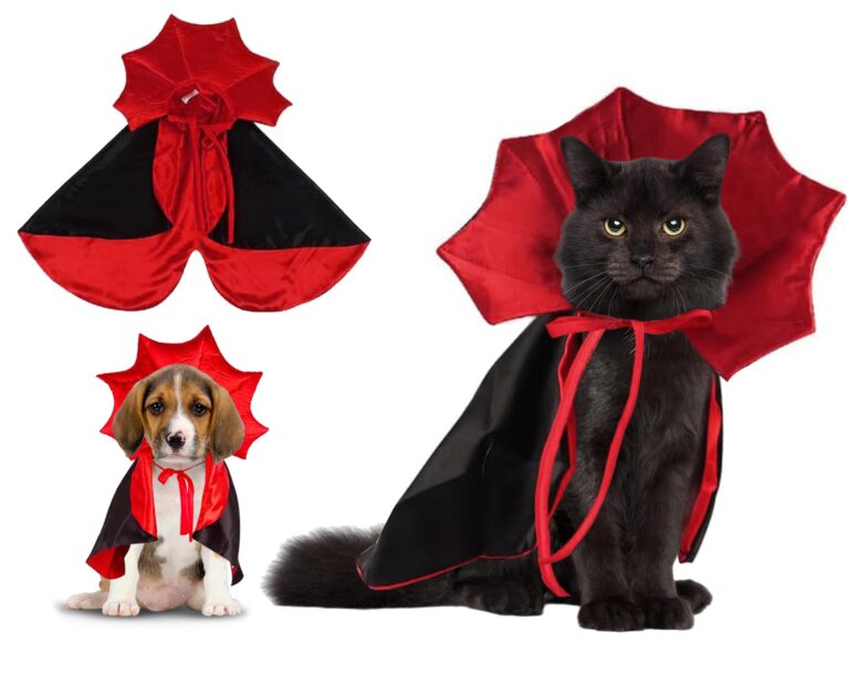gato disfrazado con coloridos accesorios festivos