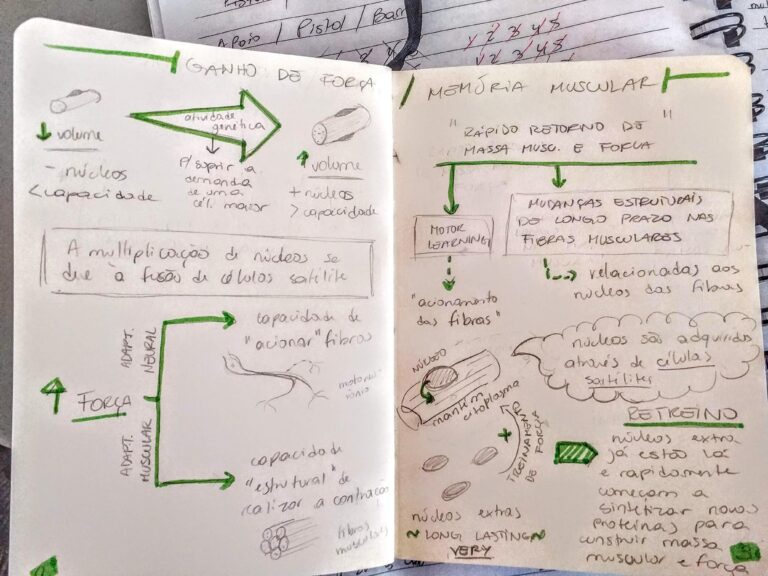 Qué características definen un texto expositivo explicativo 2 libro abierto con notas y resaltadores