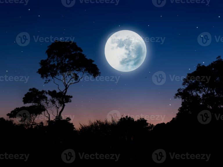 luna llena sobre un paisaje nocturno 2