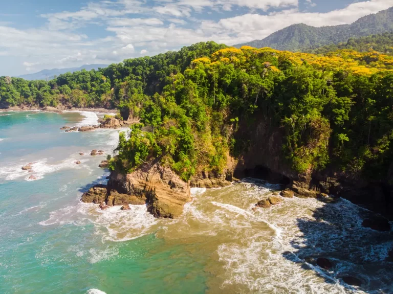 naturaleza de costa rica con simbolismo legal