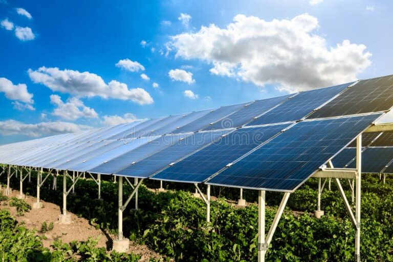 paneles solares en un paisaje natural