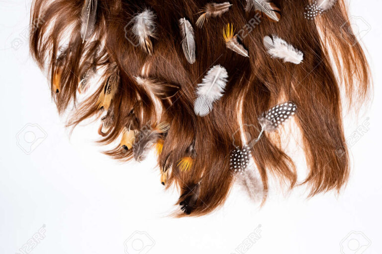 pelos y plumas sobre fondo natural