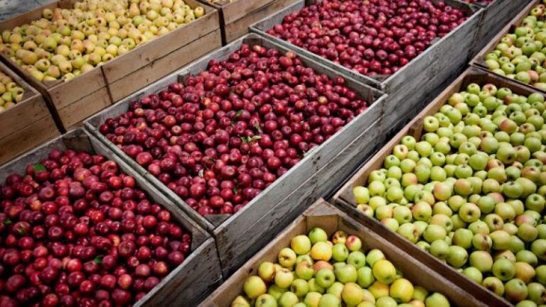 que productos exporta argentina a paises limitrofes