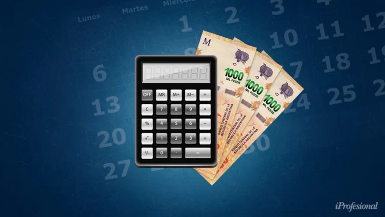 Qué significa la B de tenencia en ANSES y cómo afecta tus beneficios 2 simbolo de tenencia en documentos de anses