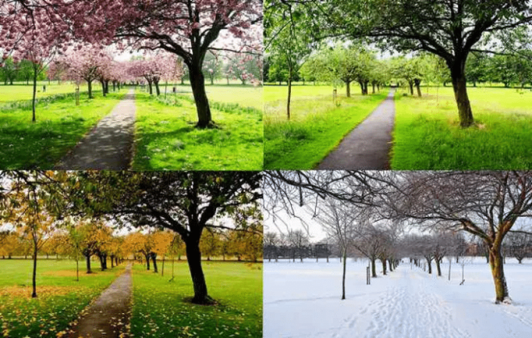 transicion de estaciones en un paisaje argentino